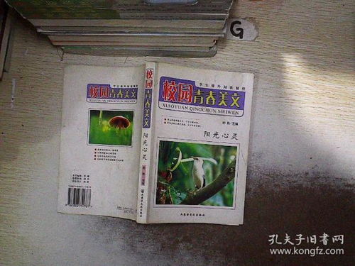 如陽光的青春校園作文