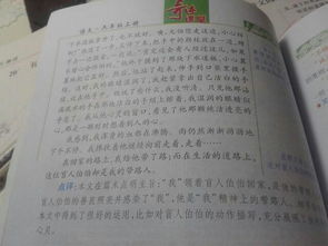 寫南方冬天校園的作文三百字