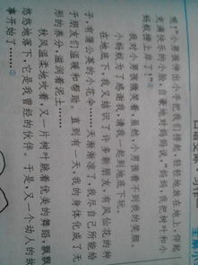 校園里的大柳樹作文200字