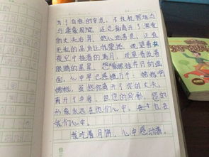 我愛美麗的校園四百字作文