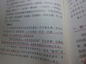 以走出校園為話題的作文200字