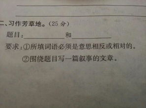 我們的校園四年級300字作文怎么寫,我們的校園作文怎么寫300字,我們的校園二年級作文怎么寫