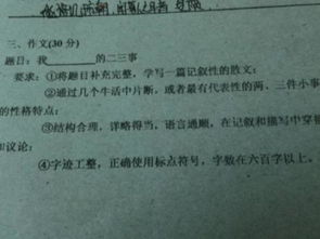 小學校園二三事作文400字