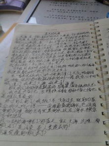 營丘鎮(zhèn)小學校園風景作文