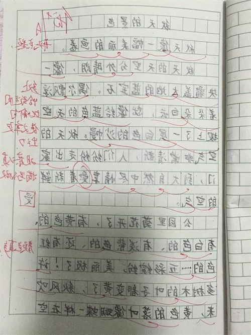 關(guān)于春天校園的風(fēng)景作文寫