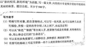 新的校園新的環(huán)境為話題寫一篇作文