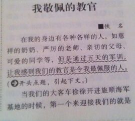 作文,四級(jí),美麗,校園