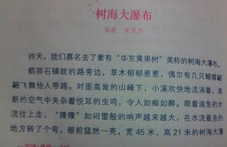 寫校園游覽順序400字作文