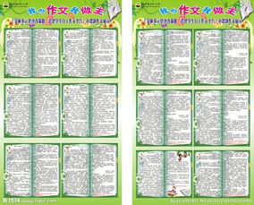 校園武術(shù)節(jié)的作文