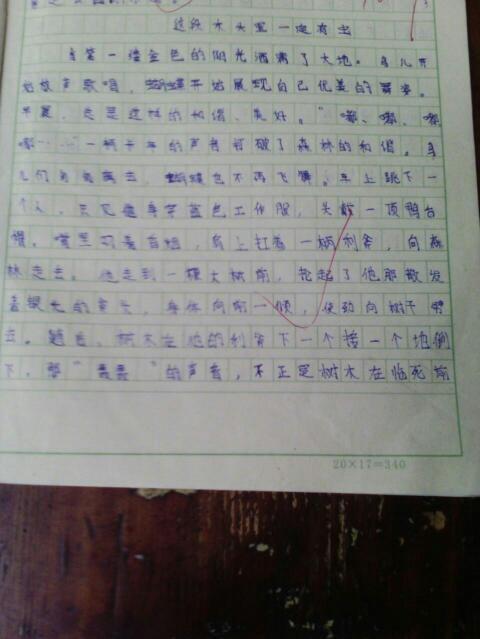 校園游記寫二十二小的作文