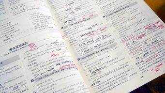校園生活作文三年級,校園生活作文300字,校園生活600字作文
