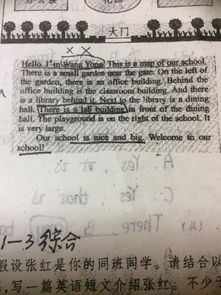 我的校園作文400字按方位寫
