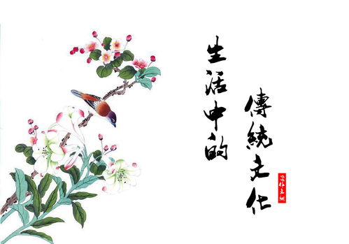 傳統(tǒng)文化校園作文三級作文