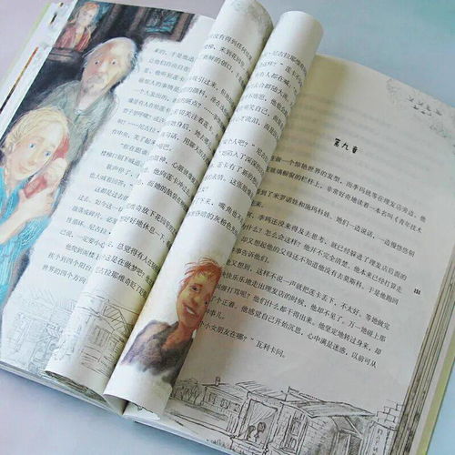 為題,寫(xiě)作文,校園