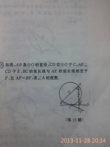 小學作文有趣的校園活動