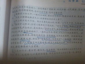 描寫校園景物的小作文100字左右