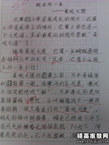 有關(guān)春天的校園作文的評語眉批