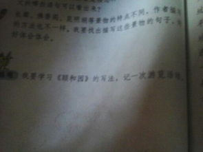 校園的一次活動作文200字