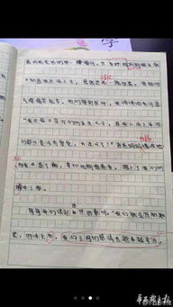 平語進(jìn)校園小學(xué)生作文
