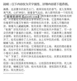 作文,大學校園