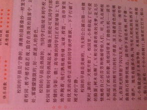 關于校園新聞作文