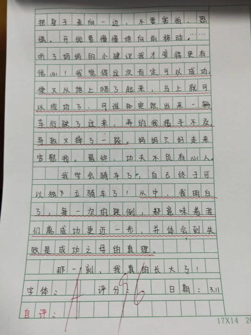 美麗的實(shí)驗(yàn)小學(xué)作文,美麗的實(shí)驗(yàn)小學(xué)作文怎么寫,我美麗的實(shí)驗(yàn)小學(xué)作文