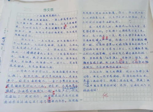 校園舉辦的活動作文