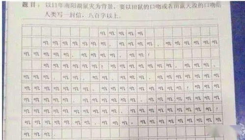 第一次走進小學(xué)校園感受作文