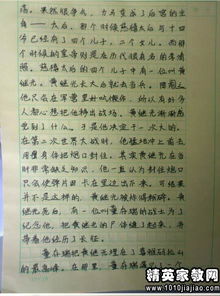 關于元旦校園運動會的作文300字