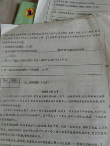 作文,圖書館,校園,鑫鑫