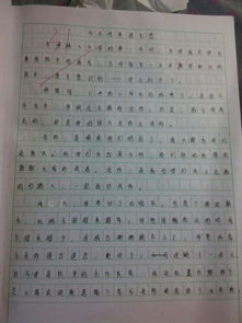 景點,作文,校園
