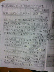 桃樹,作文,校園里