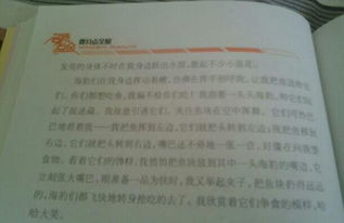 關于校園總分總的作文150字左右