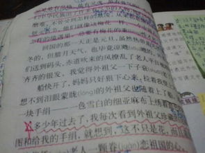 描寫校園花的作文400字四年級(jí),描寫校園花的作文200字,描寫校園花的作文250字