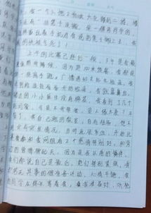 回味校園活動作文1000字
