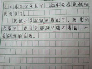作文,結尾,景色,開頭