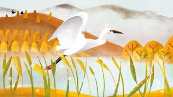 校園春夏秋冬季節(jié)作文600字作文怎么寫