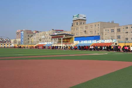 涿州市,作文,校園,雙語學校