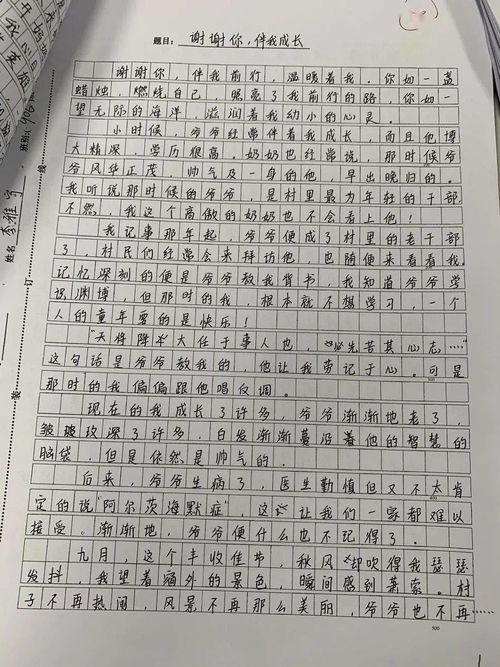 作文,結(jié)尾,開(kāi)頭,溫暖