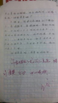 21世紀的校園500字作文