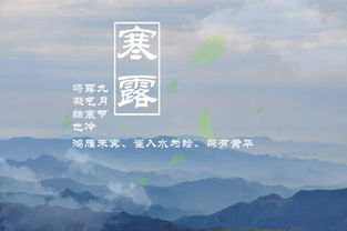 寒露時(shí)節(jié)的校園作文