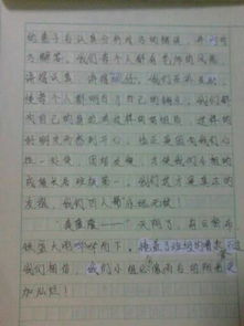 作文我與中學校園生活