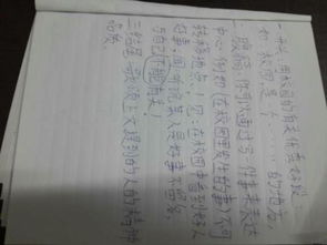 校園見聞作文600字初一,校園見聞作文600字初中,校園見聞作文600字