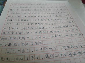 作文,眼中,校園