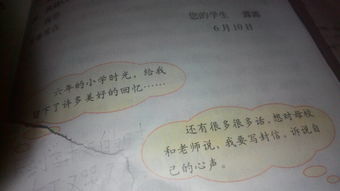 小學(xué)校園里的記憶400字作文六級(jí)