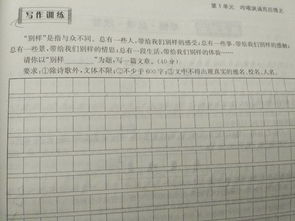 美麗的校園總結(jié)800字作文