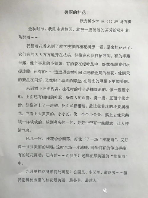 關(guān)于校園青春成長(zhǎng)的作文