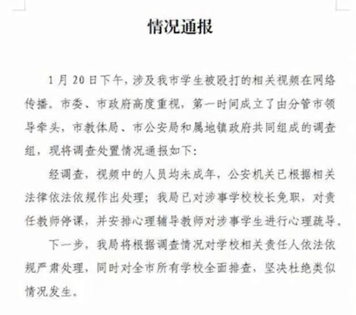 訪談校園暴力作文800字