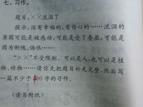 校園即景500字作文五級(jí)