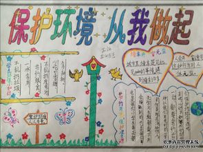 保護(hù)環(huán)境從我做起的作文怎么寫(xiě)關(guān)于校園